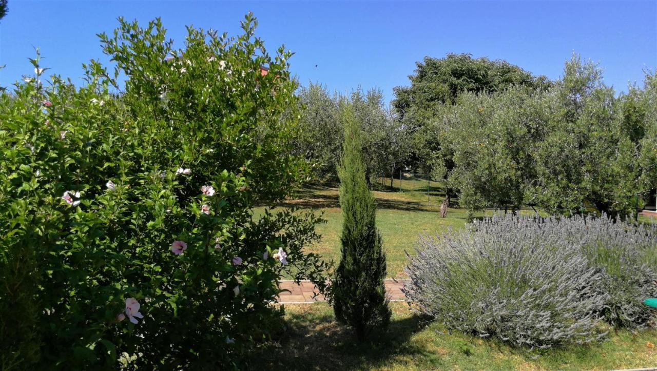 Apartment Moratto's *